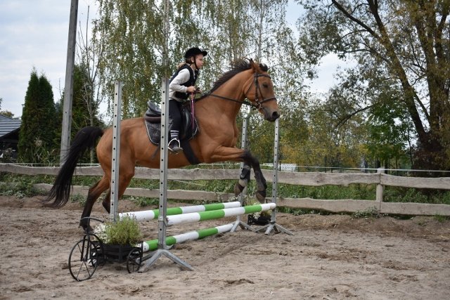 bABIE lATO 2018